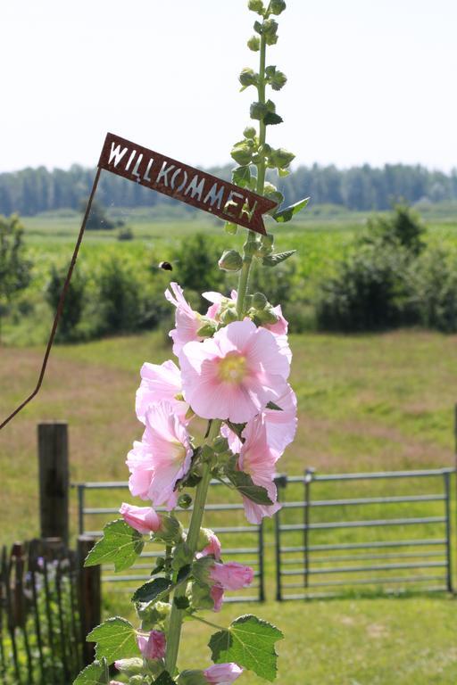 Ferienwohnung Vogelsang Suderhoft Exterior foto